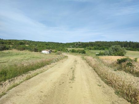 Bulut Yatırımdan 4.050 M² Kaçırılmayacak Fırsatta Tarla