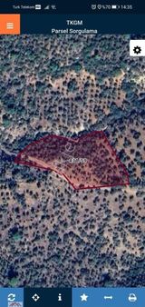 Kozan Şevkiye Mah. Satılık Zeytin Bahçesi Kozan Koleji Yanında