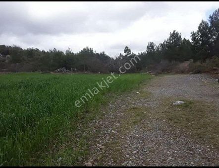 Kayabaşı Köyünde Satılık İçerisinde Ceviz Bulunan 2000 M2 Yatırımlık Tarla