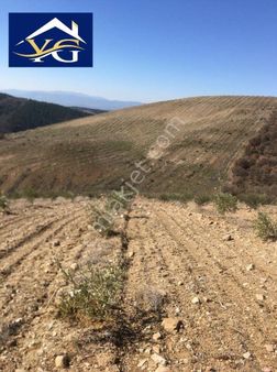 Yuvam Gayrimenkul'den Salihli Kemer Mah. Satılık 169 Dönüm Zeytinlik