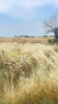 Gerenköytek Mūstakil Tapu 2900 Metre