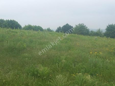 Uygun Yatırımlık Arazimiz