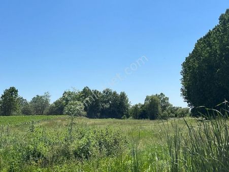 Lider Emlakdan Pinarhisar Tozaklı Köyünde Satılık 2086m2 Tarla