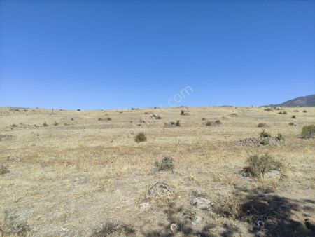 Konya Seydişehir Çavuş Mah. Satılık Tarla 15 800. M2 Tek Parça Sulu