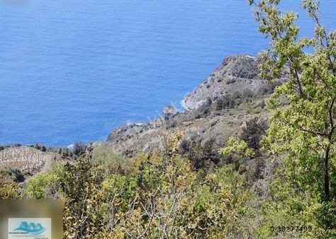 Gazipaşa Satılık Deniz Manzaralı 4 Villalık Arsa Zeytinada 3.885