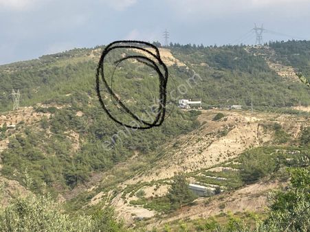 İhsaniye Köyü Zirve Konumda Satılık Müstakil Arsa Tek Tapu