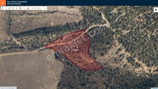 Başkan Emlaktan Satılık Söğüt Geçitli Köyünde 16.877 M2 Tarla