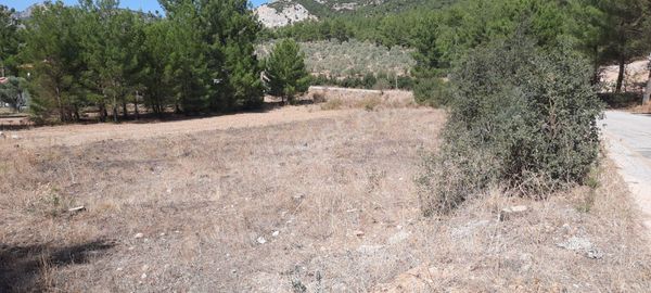 Muğla Merkez Düğerek De Asfalt Yola Cepeli 2200.m2 İmarlı Tarla