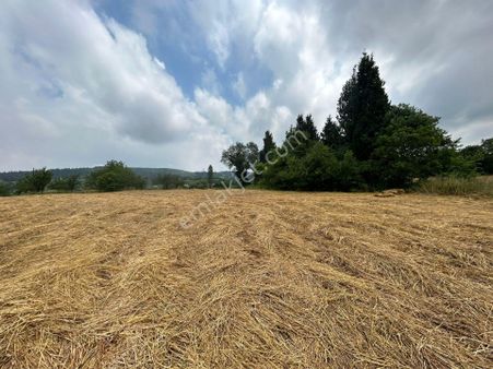 Kocaeli Karamürsel İnebeyli Satılık Tarla 12003 M2