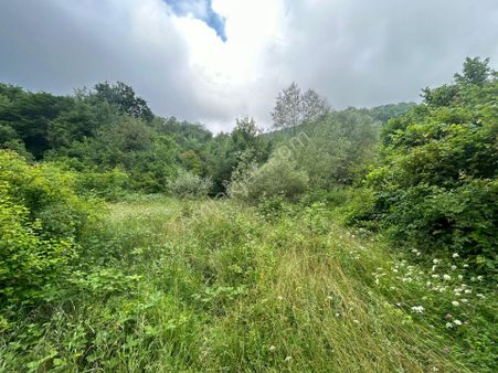 Kocaeli Karamürsel Safiye Satılık Tarla 3983 M2