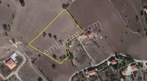 Güvenay - Çorum Kuruçay Bağları İçi 5,5 Dönüm Satılık Tarla