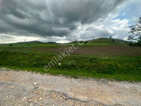 Güvenay- Çorum İmara Sınır Kuruçay Yolu Satılık 5 Dönüm Tarla