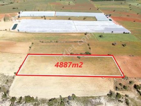 Elmalı Küçüksöğle Mah'de Sera Bağ Bahçe Yapımına Uygun Kırmızı Toprak 4.887m2 Satılık Tarla