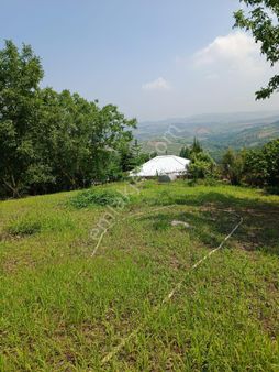 Çiftlikköy Lalederede Yatırımlık Tarla