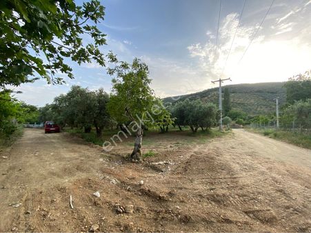 Bursa Gemlik Kumla Mahallesi Satılık Arsa