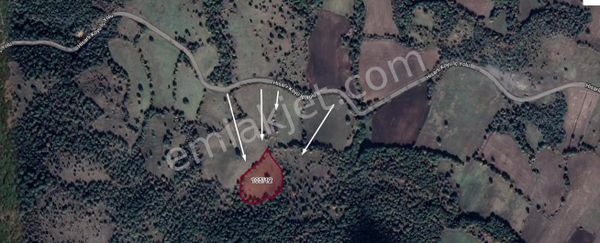 Edirne Enez Hisarköyü Satılık Tek Tapu Tarla 2.674.50m2