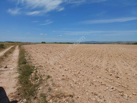 Kırklareli Merkez.. Satılık 30 Dönüm Arazi