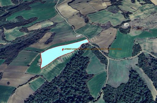 Lapseki İlyasköy'de 16.169,76 M2 Kadastrol Yola Cephe Tarla