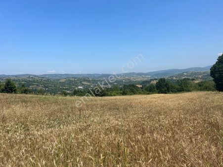 Kocaeli Karamürsel Yalakdere Satılık Tarla 19872 M2