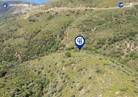 Karaburun Sarpıncık'ta 10.125 M² Tarla