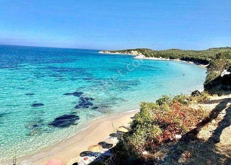 Ege'nin Maldivleri Bademli'de Kupon Satılık Zeytinli Tarla