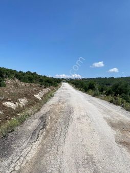 Çiftlik 20 Dönüm Uygun Fiyata Boş Tarla Takas Olur