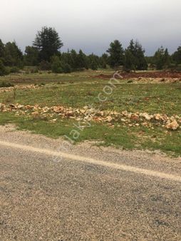 Yaylalık Güneyli Mah 620 M2 Asfalt Yola Sıfır Tarla Erdemli