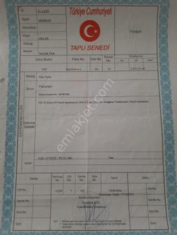 Keban Yolundan Pelte Yoluna 250 Mt Evi Ve Yetişmiş Bahceli Yazlık