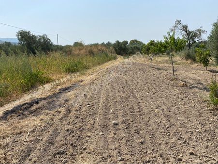 1/5000 Lik İmar Planı İçinde 2750m2 Tek Tapu Takas Olur