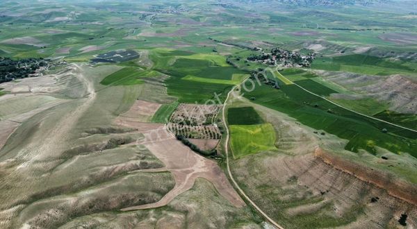 Sahibinden Satılık 70 Dönüm Arazi