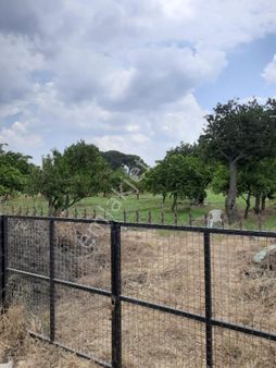 Söke Emlak Ofisinden Bağarasın Da Satılık Bahçe