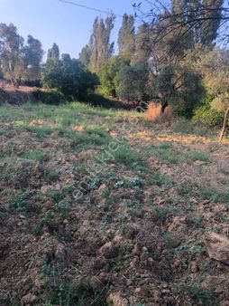 Bencık Mahallesinde Satılık Bahçe