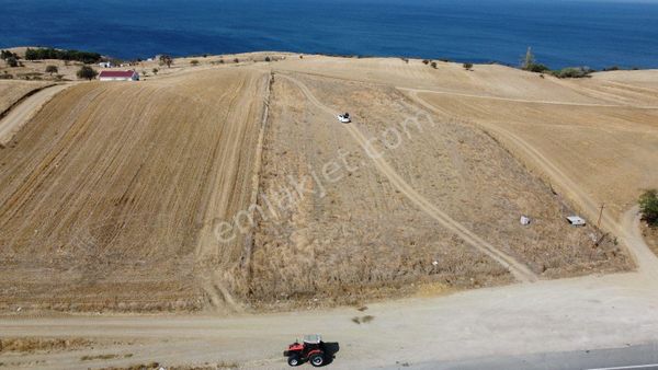 🏡 Gelibolu Koruköy'de Yatırımlık Fırsat Arsa! 🌿