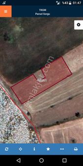 İzmir Aliağa Aşağı Şakran Satılık Tarla