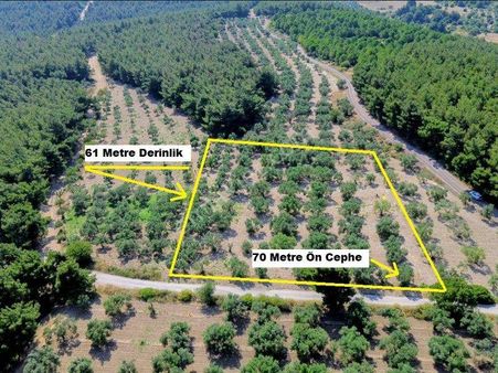 Bülent Ateşci'den Aliağa Bozköyde 4222 M2 Tarla