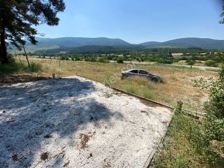 Bilecik-gölpazarı Yolu Üzerinde 3 Dönüm Satılık Arazi