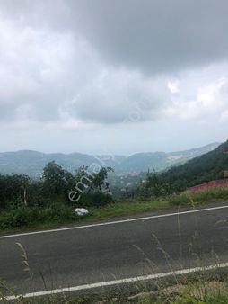 Trabzon Gündoğdu Satılık 1.067 M2 Arazi