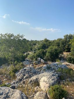 Narlıkuyu-hasanaliler ‘de Satılık Yatırımlık Tarla