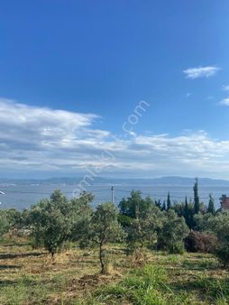 Bursa Gemlik Karacaali Mahallesi Satılık Arsa