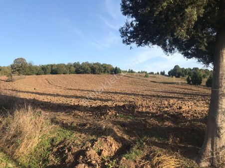 Kocaeli Karamürsel Çamdibi Satılık Tarla 13314 M2