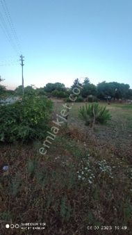 Samsun Alaçam Göçgün Köyünde Satılık Arsa