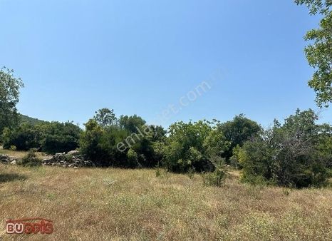 Menemen Karaorman'da Satılık Tek Tapu 15 Dönüm Arazi