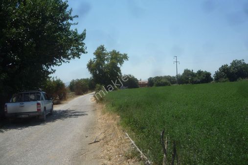 İzmir Torbalı Gold Emlaktan Satılık Kıymetli Tarla..