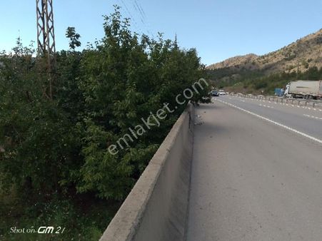 Amasya Merkez Boğazköy'de Ana Yol Kenarında Satılık Bahçe