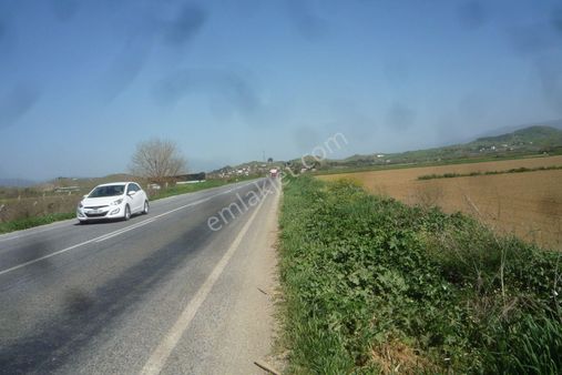 İzmir Torbalı Gold Emlaktan Satılık Kıymetli Tarla...