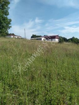 Elektrk Su Yol Problemi Olmayan Yerlesim Yerine Yakin Olup %5konut %30 Ciflik İmari Vardır