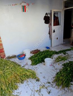 Çözüm Gayrimenkul 116 M Bina 2 .7 Milyon