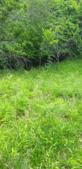 Aydın Karacasuda Satılık Meyve Bahçesi Yayla Bağı