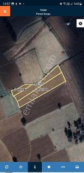 Ağacıkda Kaçırılmayacak Yatırımlık 3 Parselli Kadastro Yollu Tarla