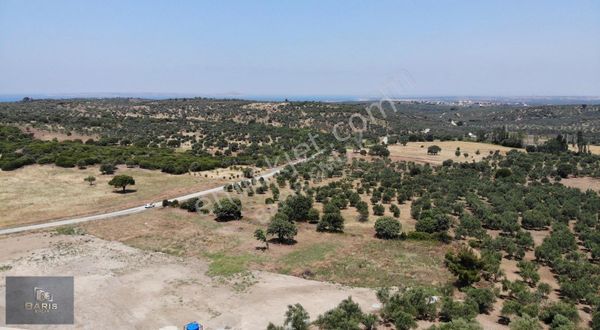 Çanakkale Ezine Gökçebayır Köyünde Satılık Asfalt Cepheli Tarla